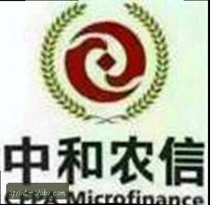 王磊